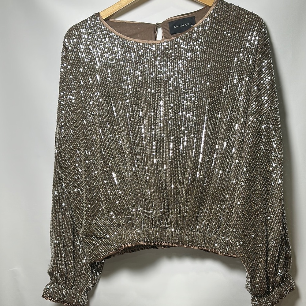 New Silver Sequin Blouse